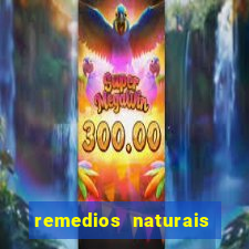 remedios naturais para diabetes